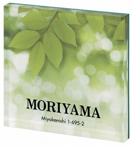 \D ˌ AN\D l[v[g PLYivCj@MSPYS-3-3(ubN) ێO^JM \D