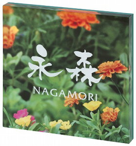 \D ˌ AN\D l[v[g PLYivCj@MSPYS-6-6(zCg) ێO^JM