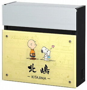 \D ˌ \DXփ|XgXk[s[|Xg Panasonic@FASUS POSTipi\jbN tFCTX tbg^Cvj@SPNFS-C-1ij ێO^JM