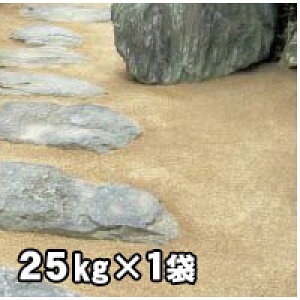 }Th~bNX ^yܑށ@l O Ǎ ܑ 