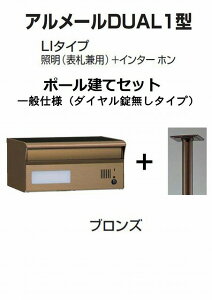 Xփ|Xg X֎ l A[DUAL1^LI^Cv uY |[ _C