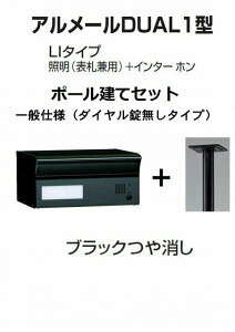 Xփ|Xg X֎ l A[DUAL1^LI^Cv ubN|[ _C