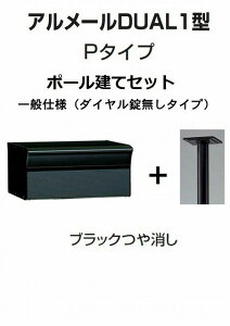 Xփ|Xg X֎ l A[DUAL1^P^Cv ubN|[ _C