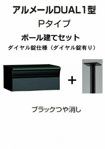 Xփ|Xg X֎ l A[DUAL1^P^Cv ubN|[ _C