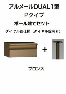 Xփ|Xg X֎ l A[DUAL1^P^Cv@uY@|[ _C