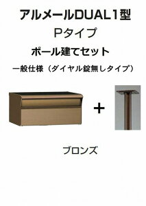 Xփ|Xg X֎ l A[DUAL1^P^Cv uY |[ _C