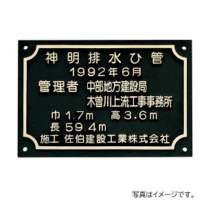  ٖEƃTC ٖE uY{H BZ-19