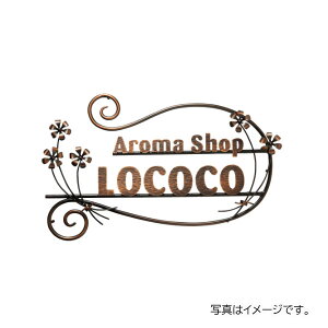  ٖEƃTC j[uXACAٖ IRZ-10