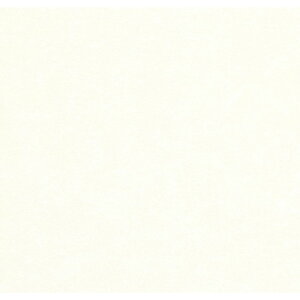 ���{�f�R���b�N�X �p�j�[�g �}�[�L�����[�z���C�g 3x6 2.4mm FX3421G �L�b�`���p�l��