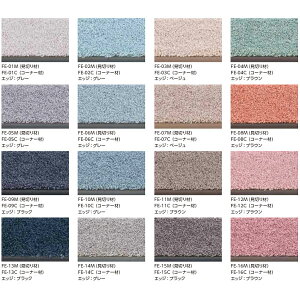 c[tBO E[NbV^C FEEL-CLR[i[(4R[i[)FE-C@J[16F ^W} ^C rj^C