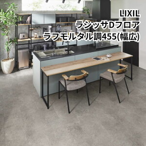 t[O  VbT DtA t^ 455(L)EN-ND2M01-MAFF z^1P[X4 LIXIL/NV kenzai