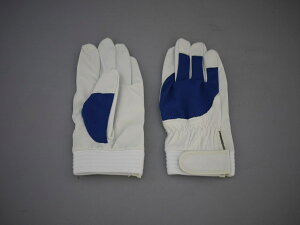 AX[g LLu[ F|505 | Ɨp ĂԂ Ǝ Ɨp   y bV |GXe  }WbN Ɨpi ؔ ؔ Lk ؖ{v v H }WbN