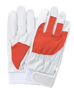 AX[g LLbh F|505 | Ɨp ĂԂ Ǝ Ɨp   y bV |GXe  }WbN Ɨpi ؔ ؔ Lk ؖ{v v H }WbN