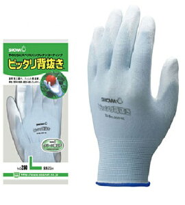 sb^w 10opbN LL NoD260 | Ɨp   Ɨp Ǝ ĂԂ Ԃ Ɨpi H O[u ƃO[u w w wO[u [NO[u 