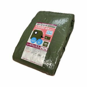 @3000 C[W ODO[V[g@10m×10m