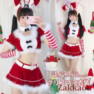 NX}Xߑ fB[X@T^N[X   6_Zbg eRXv T^ o RX`[l  ϑ