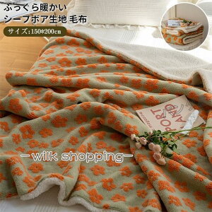 uPbg Ђ| 2킹 ѕz V[v{A 킢  g ӂӂ  H~p ԗp  HDԕ150×200cm