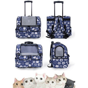 ybgL[ L[J[g bN 2way L[obO ܂ p Lp ^ ybgpi ʕ bNTbN LX^[t