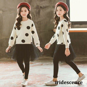 q ̎q  ZbgAbv XEFbg ㉺ W[W  XJbc LbY Y{ tH ؍ WjA hbg  ʊw