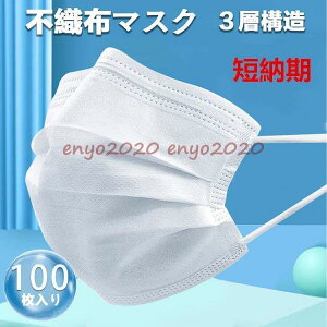 }XN ݌ɂ ĝ  100 ĝ Ow\  sDz lp jp ԕ΍   tFCX}XN PM2.5 ԕ