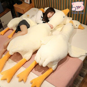   K`E ʂ Q NbV YQ ܂ Ђ 傫 130cm 160cm 190cm ObY