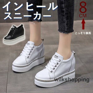 Xj[J[ fB[X Cq[Xj[J[ V[NbgV[Y 8cm EH[LOV[Y r q[Abv q[ ɂ ₷