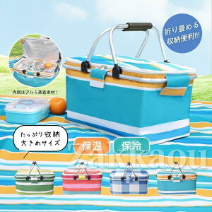 エコバッグ 保冷 保温 折りたたみ バスケット かごバッグ 蓋付き ファスナー付き 軽量 大容量 トート マチあり 防水 撥水