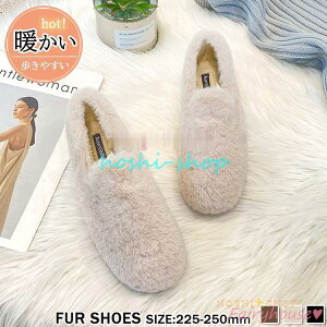 t@[pvX fB[XV[Y ₷ N JV GRt@[pvX ؂ Xb| {  g [q[C ~ ɂȂ