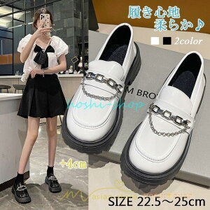 [t@[ w q fB[X ʊw ʋ wC wZ y pvX ؍ ₷ t  H ~ w     Ȃ 2022V