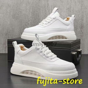 Xj[J[ Y C Xj[J[ EH[LOV[Y JWAV[Y  hCrOV[Y ʊwC