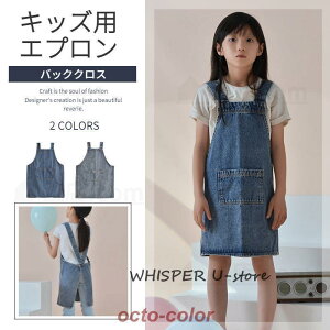 EȒP LbY q fj Gv DIY  FȂ ǂ j̎q ̎q jp w K jZbNX LbYpGv