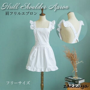 Gv  tGv   JtF n Vv 킢 Ԃ Lb` T X  K[fjO NXGv { zCg