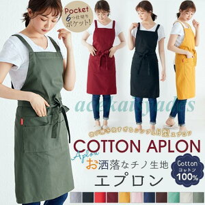 Gv ̓ 2023 v[g 100% n k 6d؂|Pbgt O H^ YȂ