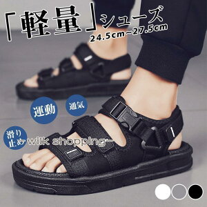 T_ Y r[`T_ X|[cT_ ʋC y ~  amp ^ j C C  ނ EH[^[V[Y