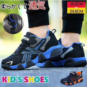 qC Xj[J[ tďH~ y ^C R hL  j̎q ̎q tďH ʋC ~ JWAV[Y WjA jOV[Y 