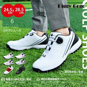 StV[Y Y fB[X _C Xj[J[ 傫TCY L XpCNX tBbg y ₷ h ϋv K  