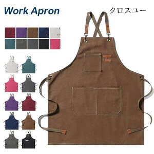 Gv ̓ Mtg T JtF NX [N ubN jp jp p O|  a@