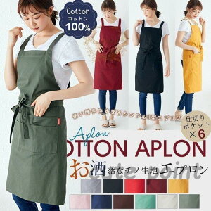 Vo Gv ̓ 2021 v[g 100% n k 6d؂|Pbgt O H^ YȂ