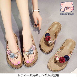 T_ r[T   ~[ fB[X Xbp EGbW\[ r[`T_ p [V[Y vbgtH[ C