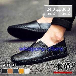 Xb| Y {v 傫TCY bV F [t@[ _炩 ԉ^] ʋC C ʊw ʋ t H ~  K rWlX