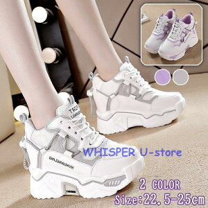 Xj[J[ C Cq[ nCJbg EH[LOV[Y@rfB[X JWAV[Y ₷