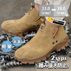 SC Xj[J[ {v Y fB[X jp |c Xb| ~ ϖ Z[teB[ ݔh~ ƌC Ȃ K