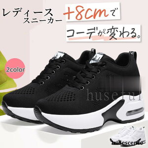 Xj[J[ fB[X nCJbg Xj[J[ Cq[ C y   ₷ ɂ r 