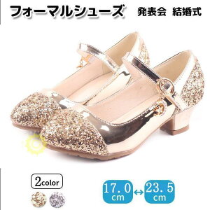 qC LbYV[Y qV[Y LbY tH[}V[Y q ̎q w  w tH[}C \  Ȃ   17?23