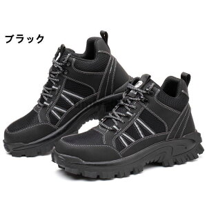 SC ƌC JیC HƂƌzC Y fB[X  ϖ Ռz |c h@h~ h ≏ ʋCQ hL jp