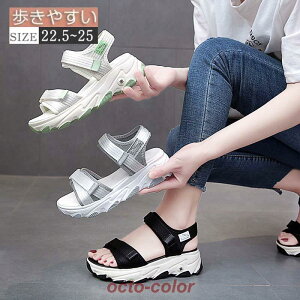 T_ fB[X   T_ C V[Y y  킢  JWA y Ȃ