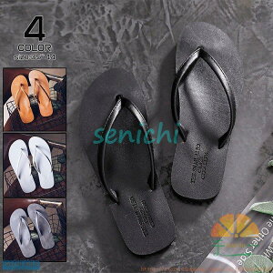 T_ Y gOT_ n JWA r[`T_  Vv p Zn V ̓