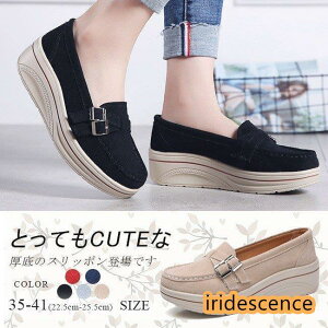 Xb| fB[X [t@[ Vv JV  XG[h ʊw ʋ r ₷ ₷ tbg JWA 5F 傫TCY