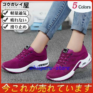 Xj[J[ Y fB[X  Ռz ʊw L ʊwC w j̎q ̎q w ^C X|[c IV HC