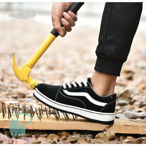 SC ƌC Ȃ Y fB[X Z[teB[V[Y SXj[J[  ܐK[h ʋC 